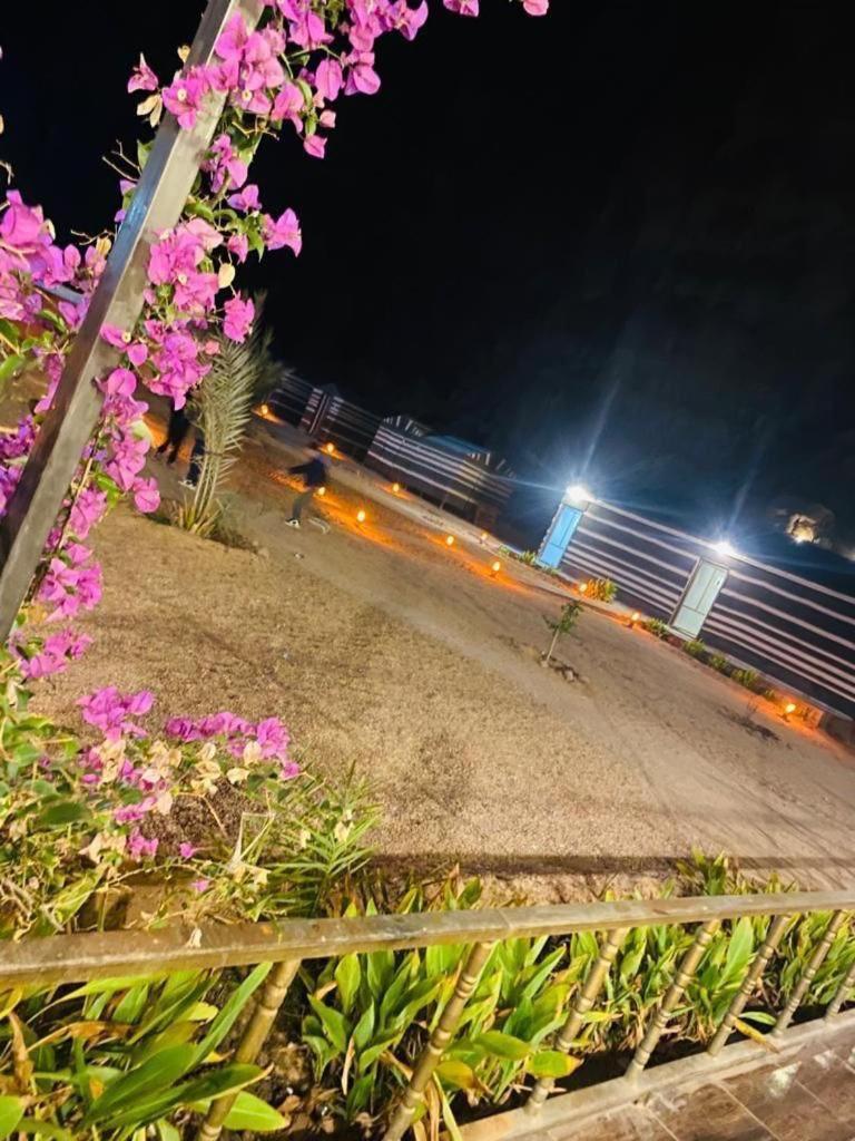 Moon Night Camp Hotel Wadi Rum Bagian luar foto