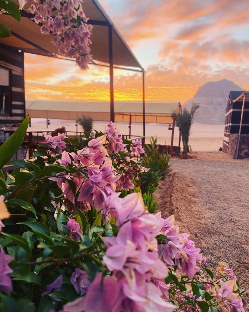 Moon Night Camp Hotel Wadi Rum Bagian luar foto